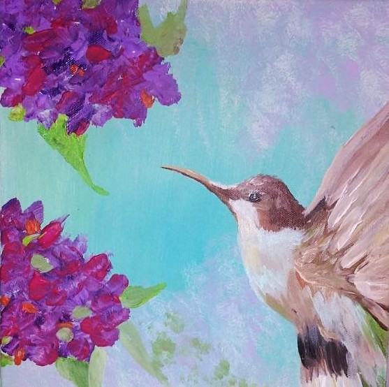 Seelenlichtbild Kolibri